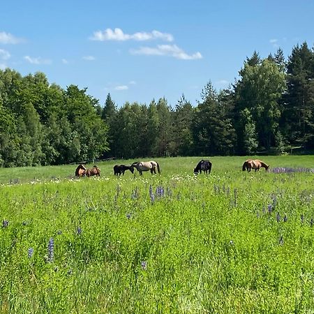 Koziula - Domki Na Kaszubach Villa Przywidz  Exteriör bild