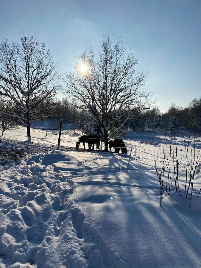 Koziula - Domki Na Kaszubach Villa Przywidz  Exteriör bild