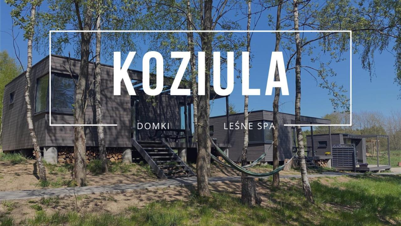 Koziula - Domki Na Kaszubach Villa Przywidz  Exteriör bild