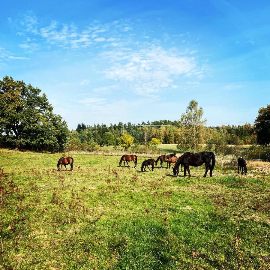 Koziula - Domki Na Kaszubach Villa Przywidz  Exteriör bild