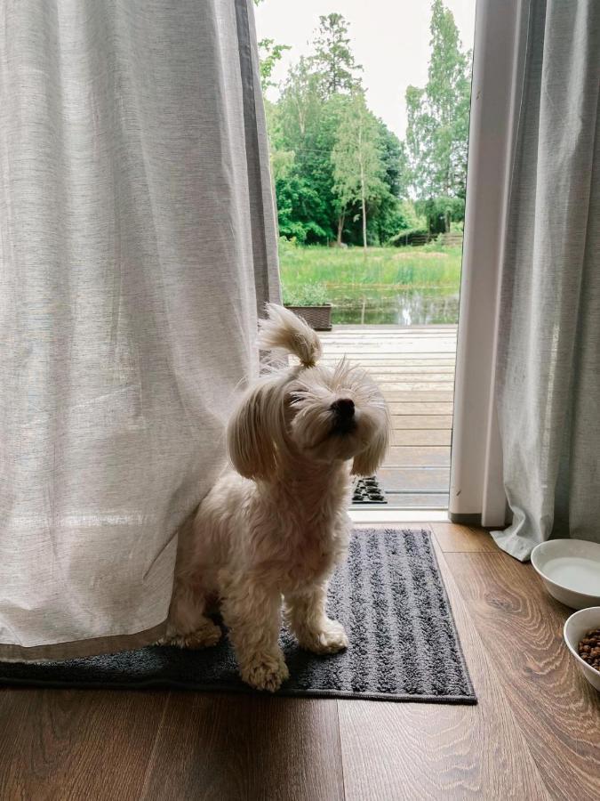 Koziula - Domki Na Kaszubach Villa Przywidz  Exteriör bild